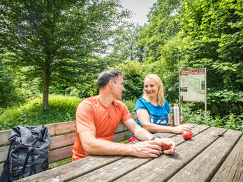 Schwarze Laber Radweg bei Schönhofen