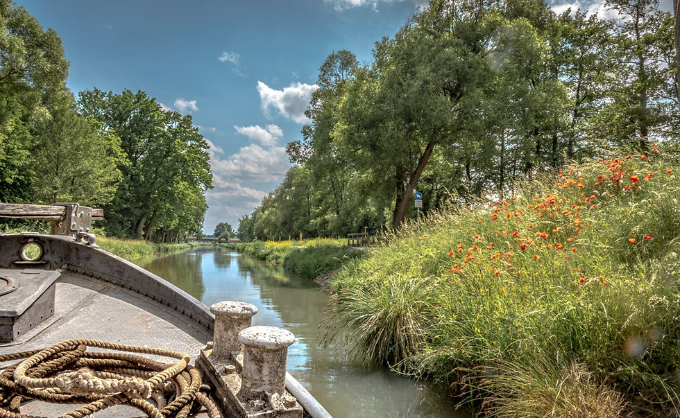 Treideln am Ludwig-Donau-Main-Kanal