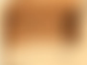 Хармонията на Възрожденската къща