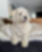 IMG_1161.jpeg