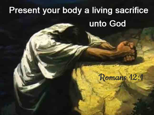 #IGiveMyselfAway #WilliamMcDowell #HolySpirit #GaitherMusic #Christian #vevo #Gospel #ChristianMusic #Jesus #Savior #God #Bible #inspirational #salvation #MAGA #JesusMatters #VBS4ever @VBS4ever