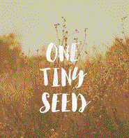 A Seed