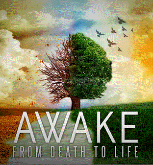 Awake