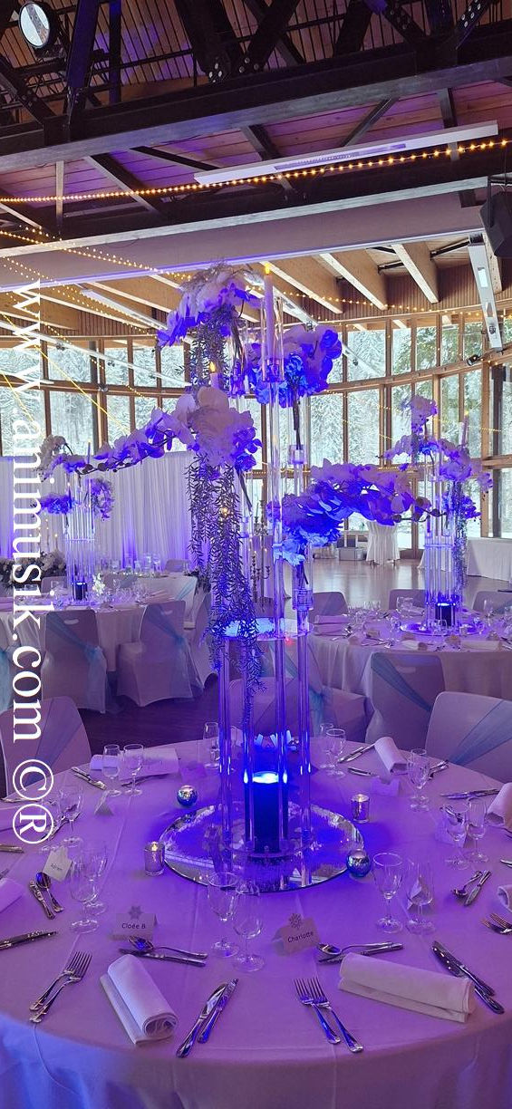 animation Montriond, animation mariage Montriond, animation DJ mariage Montriond, DJ mariage Montriond, animation Montriond 2026, DJ mariage Montriond,