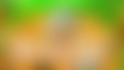 Farm Frenzy 2 (2008) PC