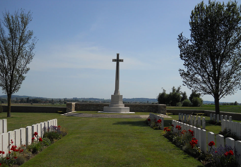 9 Elms centre view.JPG