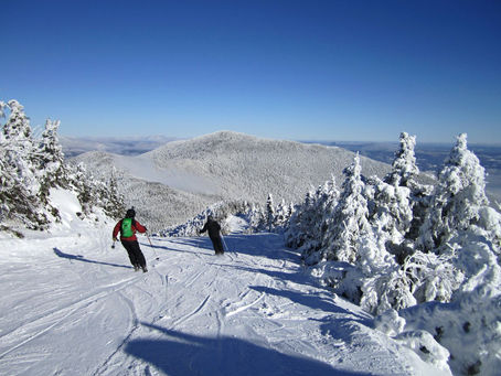 Ski Tuning Services: Which One is Right For You?