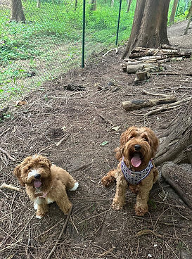 PHOTO-2024-07-15-11-36-50 3.jpg