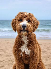 ChatGPT Image Sep 10, 2025 at 07_06_28 PM.jpeg