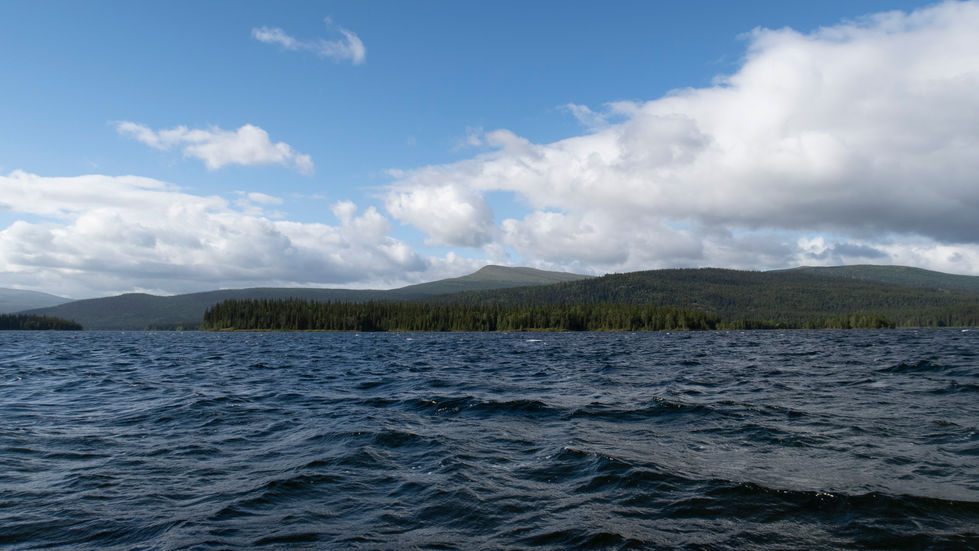 Everenåive (Lövfjäll)