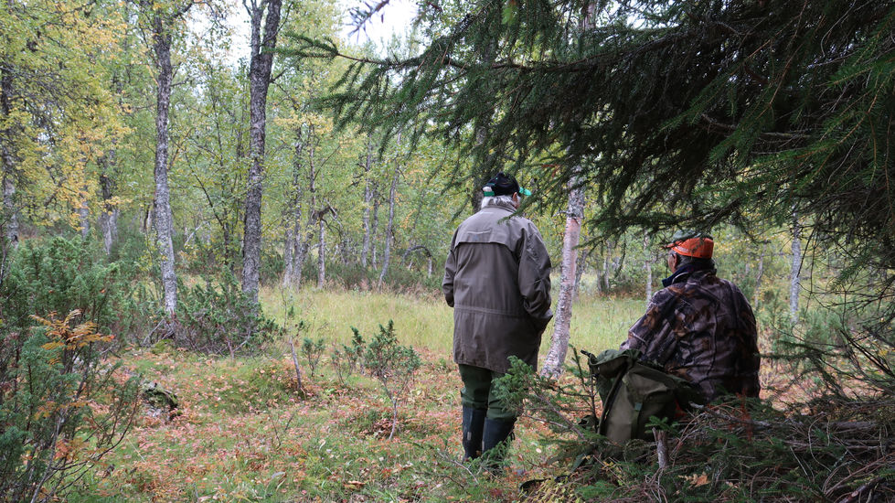 Grandparents on the watch for moose