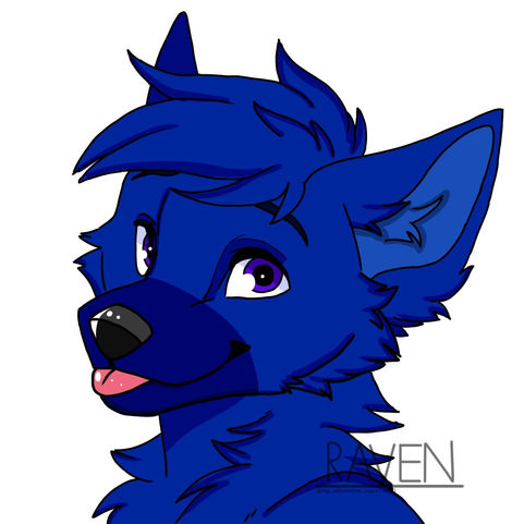 Headshot 1.jpg