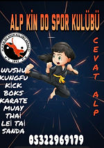 Alp Kin Do