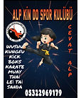 Alp Kindo Wushu Kung Fu İhtisas Kulubü