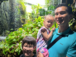 The Cloud Forest, Singapore