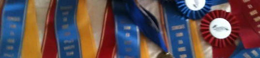 IEA Ribbons.jpg