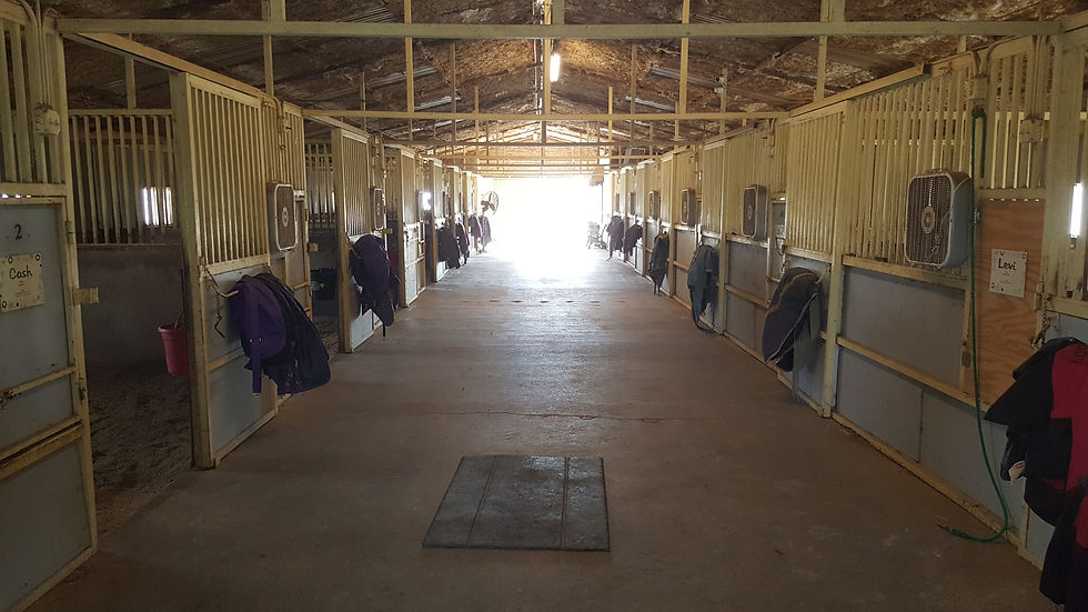 M-Bar-K Farms Horse Boarding