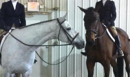 Horse Show.jpg