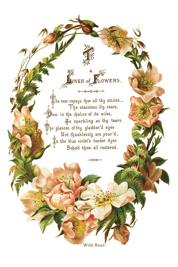 Thumbnail: Lover of Flowers IOD Transfer