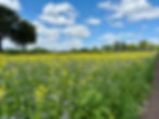 Bloemenmengsel