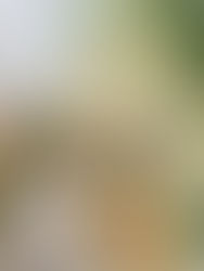 Natasha & Kunal - The Ritz Carlton