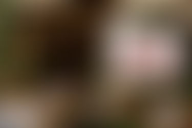 Restaurant Verpachten - Worauf Sie achten sollten