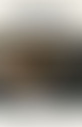 Das 1.Halbjahr 2025 - Die Bilanz der Gastronomie in Deutschlandd