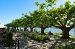 Strandpromenade und Biergarten