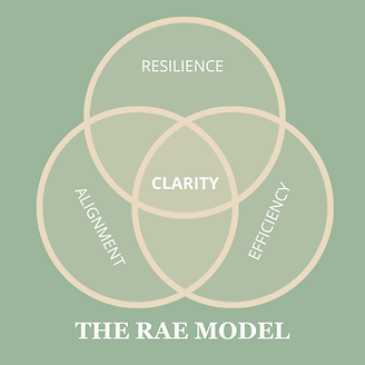 RAE model—Resilience, Alignment, Efficiency for sustainable growth