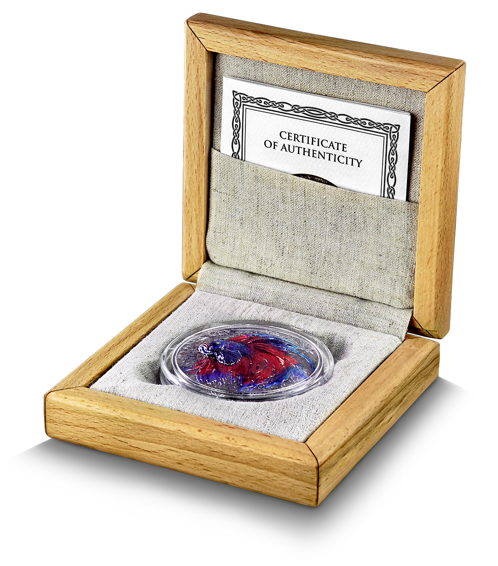 Thumbnail: Niue Island 2024 – Betta Fish 2 oz Silver HR-GERMANIA MINT