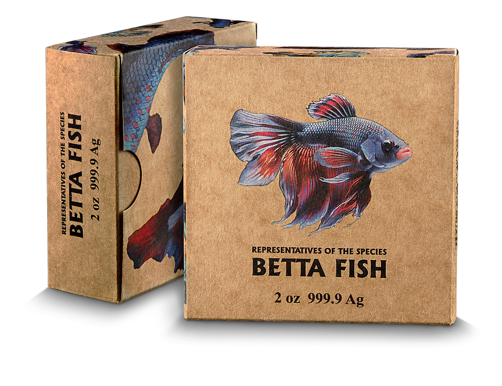 Thumbnail: Niue Island 2024 – Betta Fish 2 oz Silver HR-GERMANIA MINT