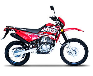 ZX 200-01-min.jpg