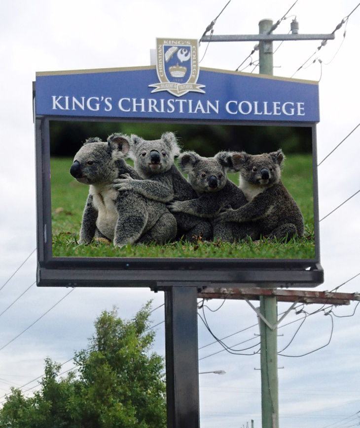 Kings CC led
