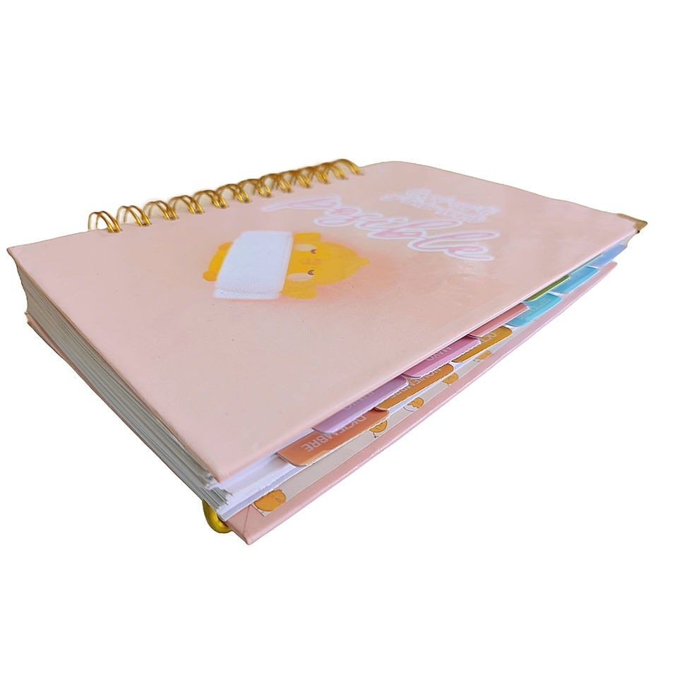Miniatura: Pestañas de Stickers para Planner (5pzs)
