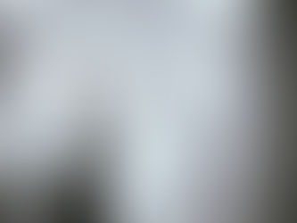 40 Bilder