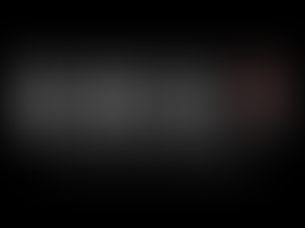 2017: The Year in Review