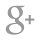 Grey Google+ Icon