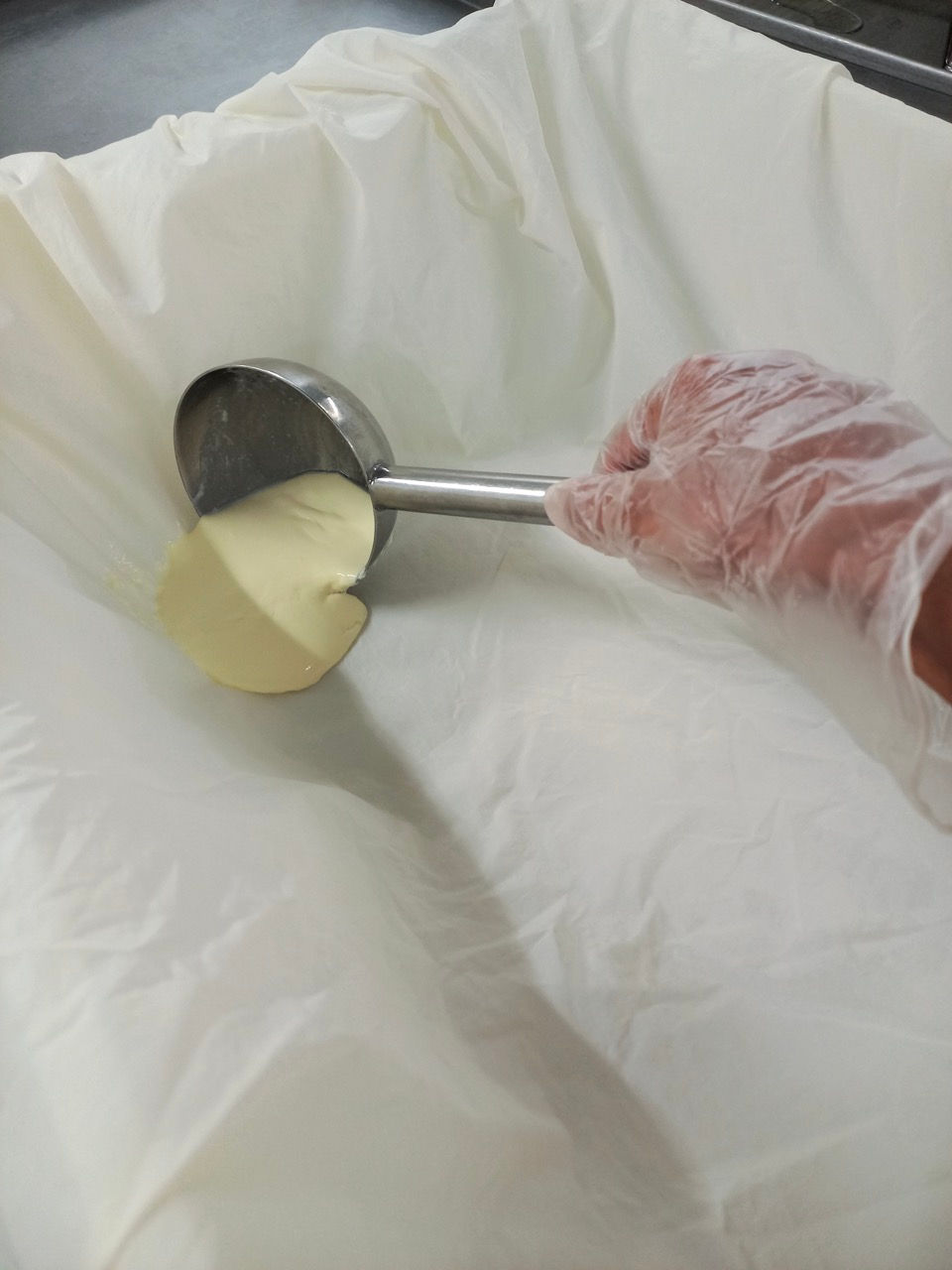 Le lait ensemencé est transféré louche après louche dans un bac dans lequel il va cailler et reposer pendant 20 heures.