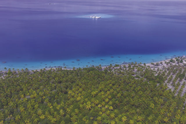 © Doris Ramseyer - Monoculture cocotier Arutua