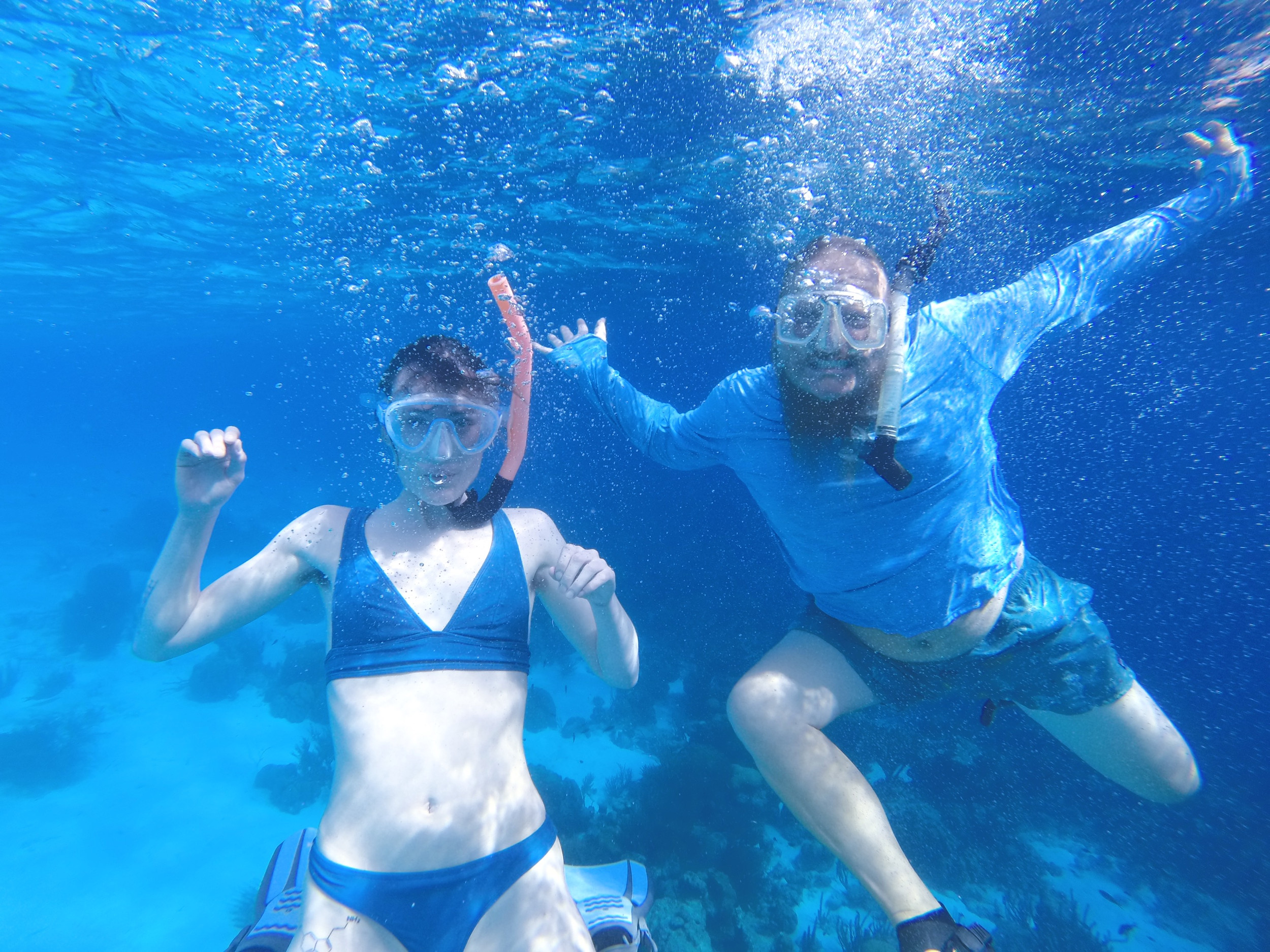 Bonaire Tours Bonaire Snorkel Tours Bonaire