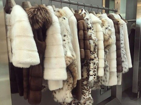THE BEAUTY OF THE FUR COAT