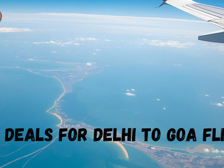 Delhi to Goa Flights: Airport Guide for First-Time Travelers