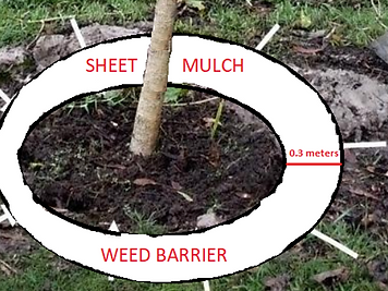 forest training 8.png