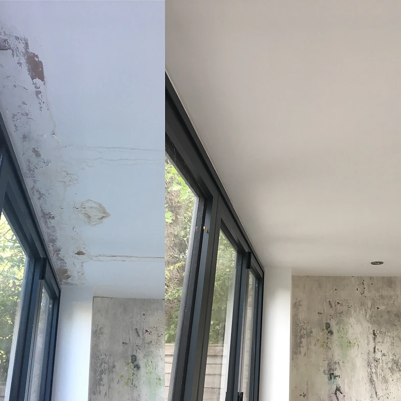 Hackney Painter And Decorator Dms Painting And Decorating Clapton