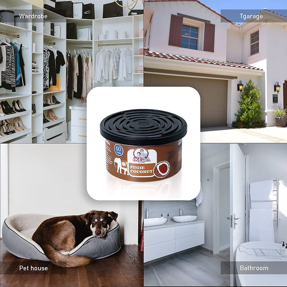 Küçük resim: Aromatizante Ambiente P/Auto o Casa/ Coco Nut