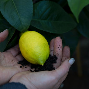 Geüpcyclede ingrediënten: de toekomst van duurzamere huidverzorging