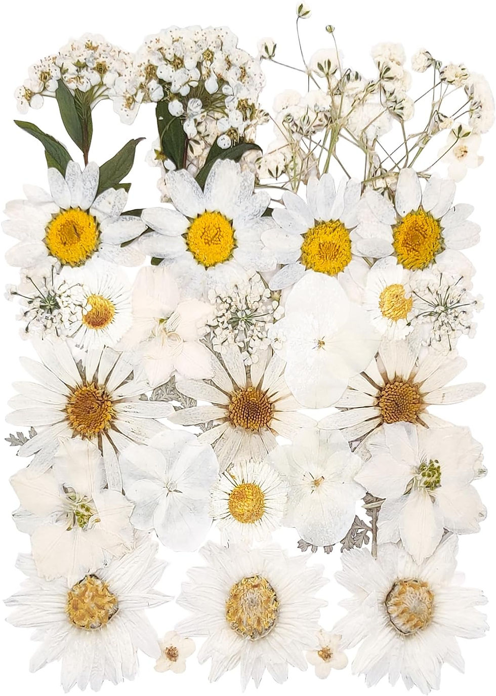 Thumbnail: Acrylic name plate card, table numbers with pressed flowers for weddings