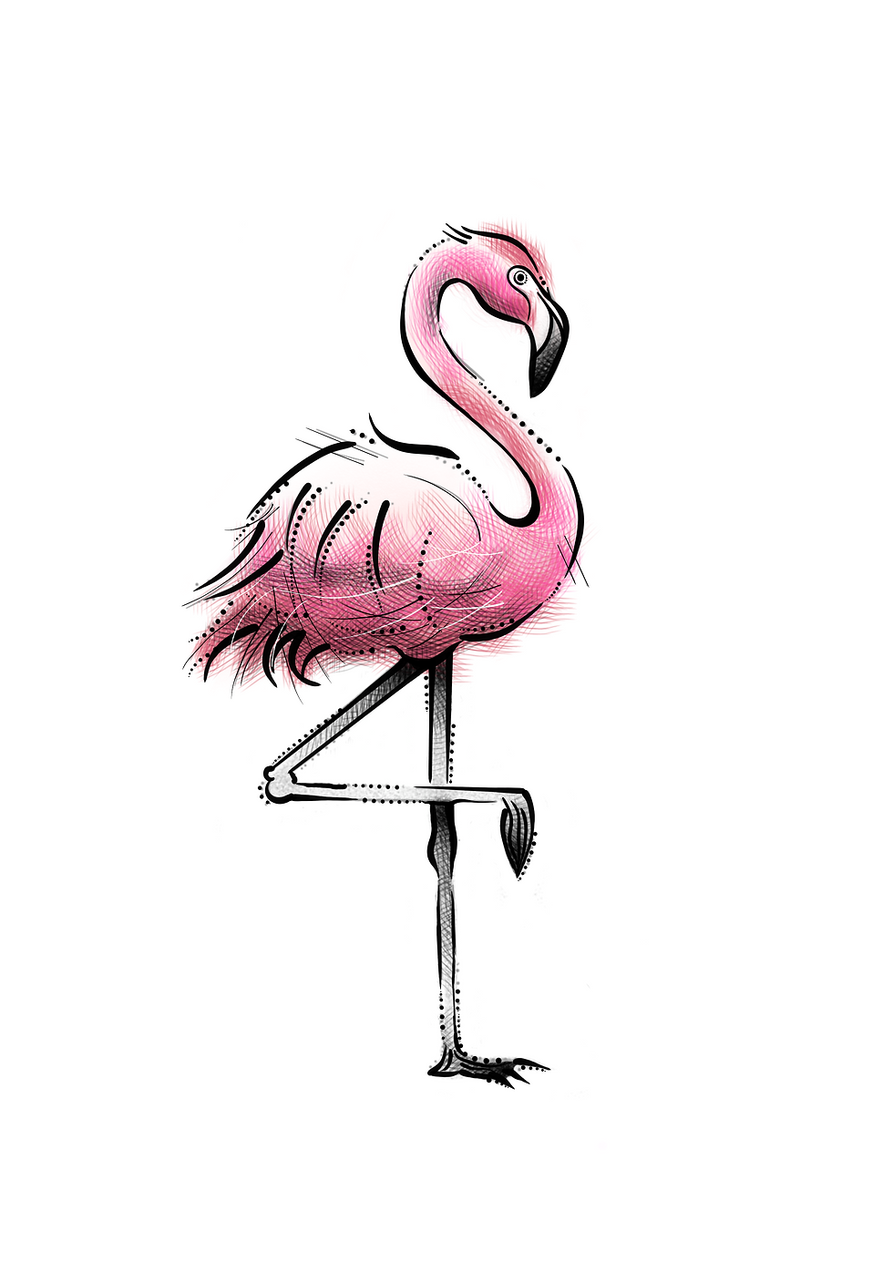 Flamingo