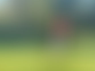Vierer-Clubmeisterschaften 2026 Nach dem 3. Extroloch gewannen Frau Hahn und Frau Valdivieso mit einem Birdie