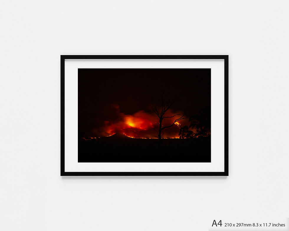 ‘Mt William’ Photography Print